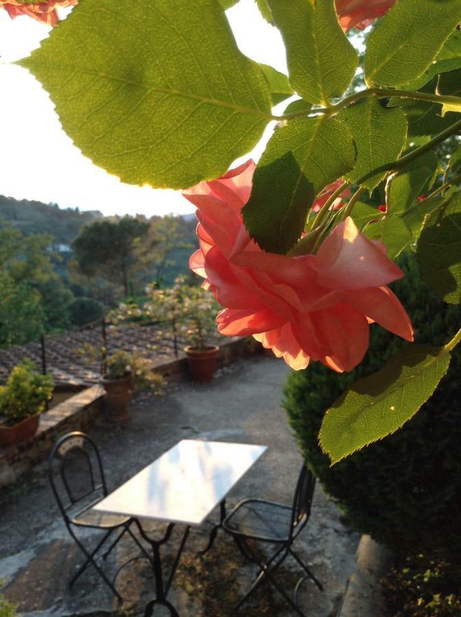 Fiesole In Giardino B&B Εξωτερικό φωτογραφία